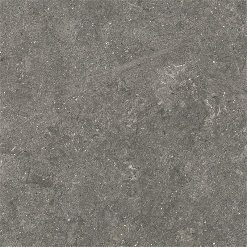 IMD2691  (2)