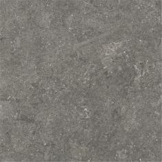 IMD2691  (2)