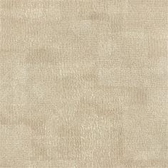 IMD2695 (3)