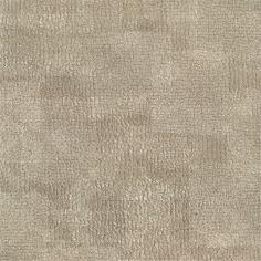 IMD2697 (2)