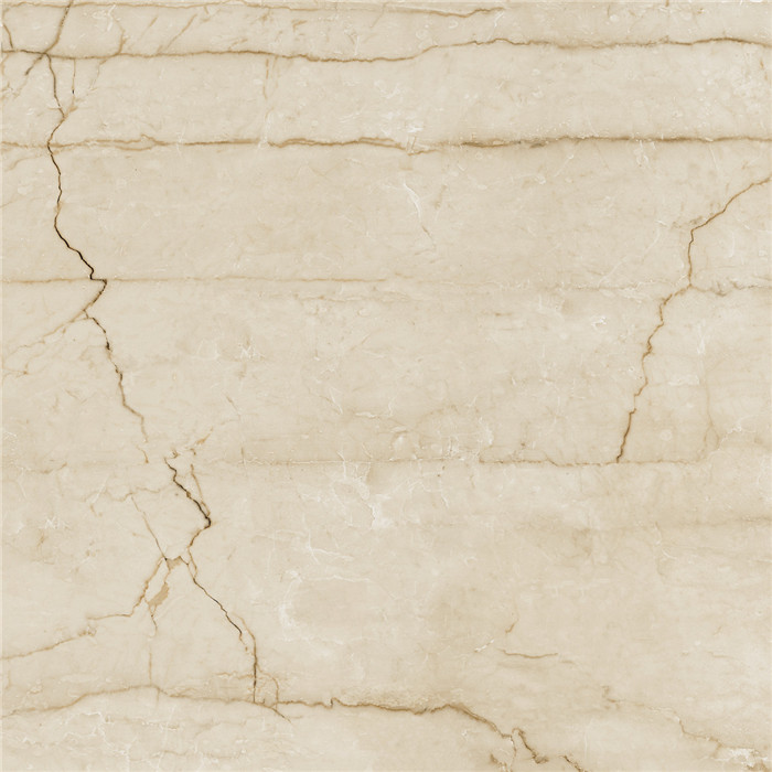 IMB1698-