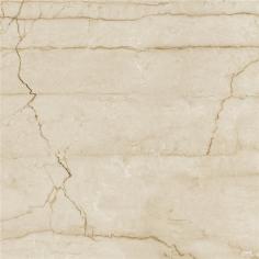 IMB1698-