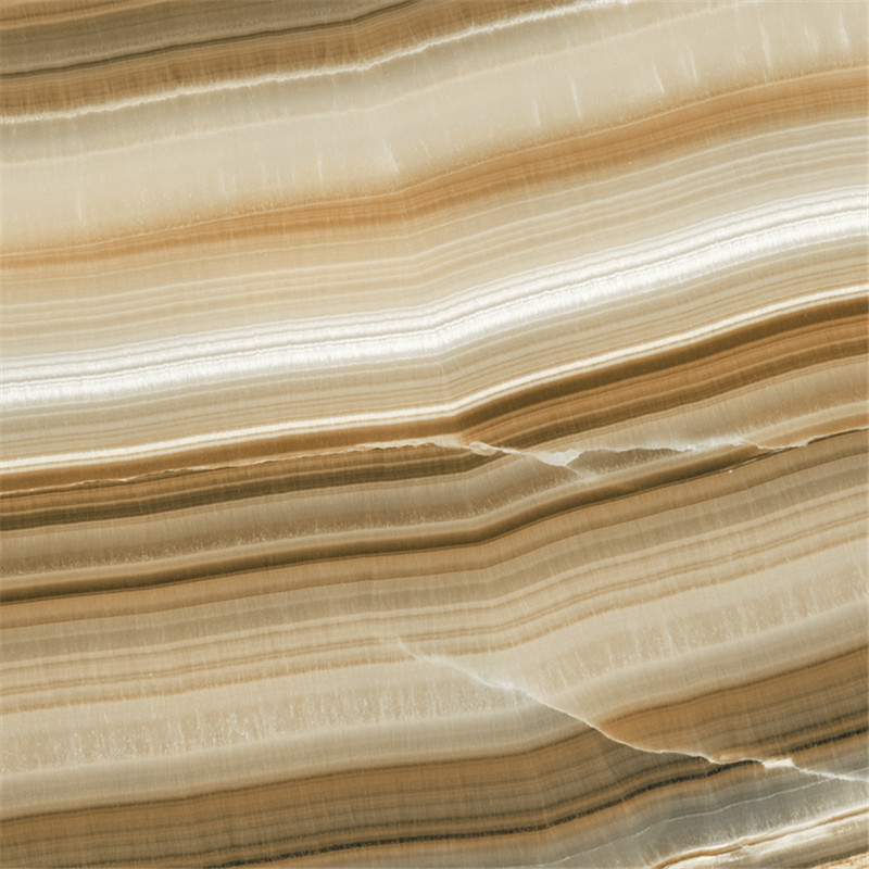 IMB1646