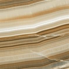 IMB1646