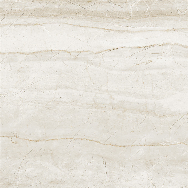 IMB1685-