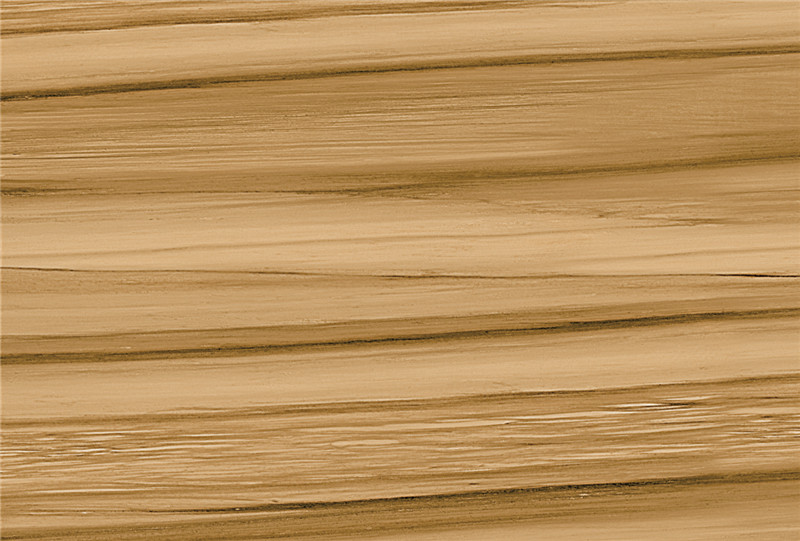 IMB69903-5