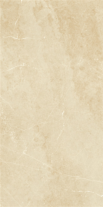 IMD126705