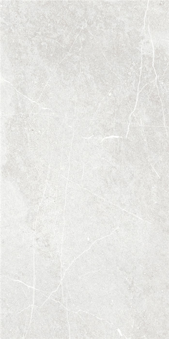 IMD126706