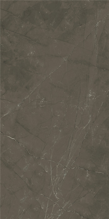 IMB126704