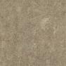 IMD2694 (3)
